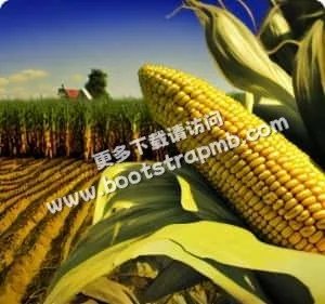 打造用户专属的互动娱乐社区 - 爱游戏linchengan